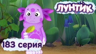 Лунтик и его друзья  183 серия Жёлтый лист [upl. by Cutty]