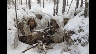 Russian Invasion of Finland  The Winter War 193940 [upl. by Rowen]