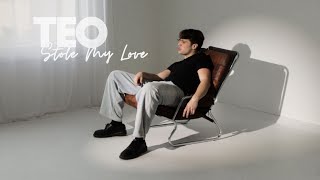 TEO  Stole my Love Official Lyric Video [upl. by Eselrahc]