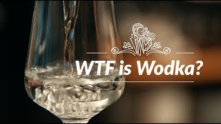 WTF is Wodka Was ist Wodka eigentlich amp wie trinkt man ihn am besten [upl. by Boote897]