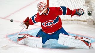 Best Saves in NHL History [upl. by Ahsyak]