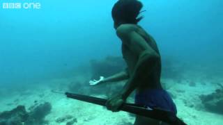 ‪Superhuman Filipino diver from the Badjao tribe BBC [upl. by Jennings]