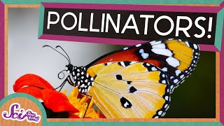 Flowers and Their Pollinators A Perfect Match  Spring is Here  SciShow Kids [upl. by Norabal590]