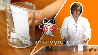 Chromatography  GCSE Science Required Practical [upl. by Appleby]