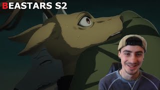 Beastars Ep 2 REACTION Reaction and Review [upl. by Hooge464]