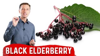 The Amazing Benefits of Black Elderberry [upl. by Natsreik]