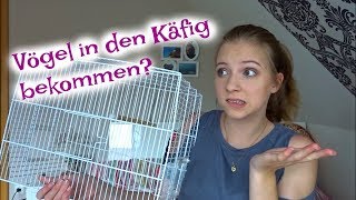 SO BEKOMMT IHR EURE VÖGEL IN DEN KÄFIG🐣 [upl. by De Witt36]