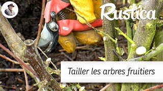 La taille des arbres fruitiers [upl. by Hebert]