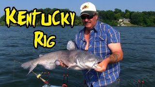 Catching Catfish using a Kentucky Rig [upl. by Ecnarrot]