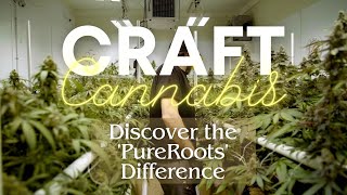 SmallBatch Craft Cannabis  Discover the PureRoots Difference [upl. by Acirfa]