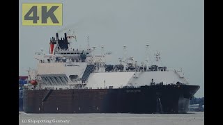 VENTURE GATOR  Shipspotting Germany 🇩🇪 IMO 9956599  River Elbe near City Otterndorf  4K VIDEO [upl. by Anemolihp541]