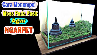 Cara Menempel Moss Pada Pasir Agar Ngarpet Secara Alami [upl. by Idolla]