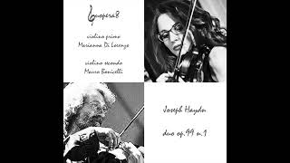 Joseph Haydn  duo n1 op99 [upl. by Biron]