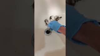 How To Fix A CLOGGED Shower Drain satisfying howto clog clogs viralshort shorts diy [upl. by Inaliak398]