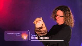 Folkmanis® Ferret Puppet Demo [upl. by Bibbie]