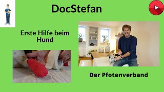 DocStefan Blog Video 11 Erste Hilfe beim Hund Der Pfotenverband ein interaktives Video [upl. by Karoline288]