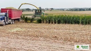 John Deere 9700 with 772 Corn Head  Riesterer amp Schnell [upl. by Northrup]