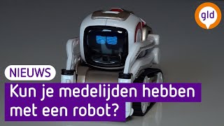 Deze robot krijgt MEDELIJDEN van mensen in Nijmegen [upl. by Arretnahs749]