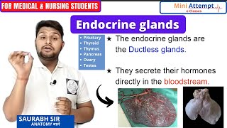 Endocrine glands and their hormoneseasy explain in Hindi  Mini attempt e classesSaurabh sir [upl. by Marybeth952]