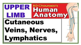 Chp7 BDC Vol1  Upper Limb  Cutaneous Nerves Superficial Veins and Lymphatics  Dr Asif Lectures [upl. by Eidnew958]