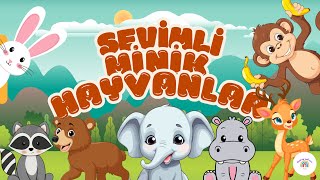 Hayvanları Tanıyalım Sevimli Hayvanları Öğreniyoruz  Learn Animals  Eğitici Video [upl. by Wendel]