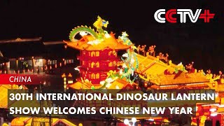 Vivid Lanterns Shine at Intl Show in Zigong to Welcome Chinese New Year [upl. by Oiratno]