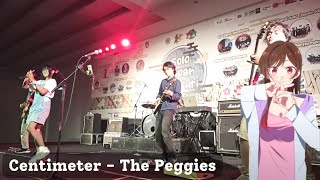 COVER The PeggiesCentimeter at Solo Japan Matsuri [upl. by Olbap]