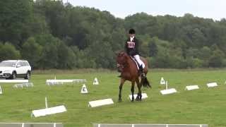 BE Novice 112 dressage test [upl. by Nevur]