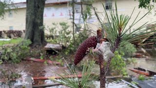 Storm damage in Slidell Louisiana [upl. by Lanos]