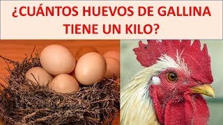 cuantos huevos tiene un kilo [upl. by Webb]