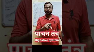 Digestive system Pachan tantra Alimentary canalमानव पाचन कैसे होता है [upl. by Zelma931]