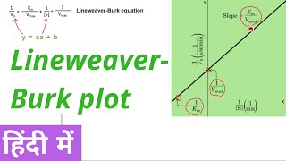 Lineweaver Burk double reciprocal plot in Hindi [upl. by Airam]