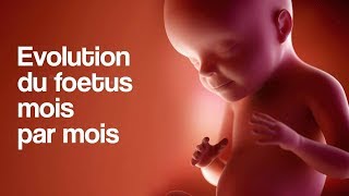 GROSSESSE  L’évolution du foetus mois par mois [upl. by Lorne]