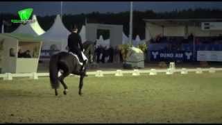 DressageampMusic  quotThe Journeyquot by DampM  Edward Gal amp Glocks Voice [upl. by Mackoff]