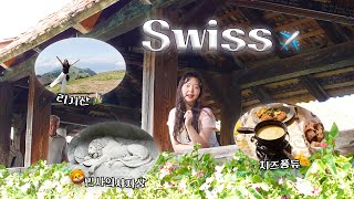 🇨🇭스위스브이로그 취리히amp루체른 여행기 빈사의사자상리기산카펠교무제크성벽치즈퐁듀슈니첼 [upl. by Davies265]