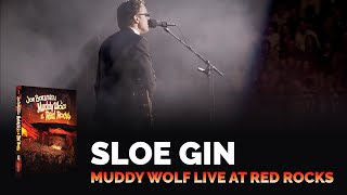 Joe Bonamassa Official  quotSloe Ginquot  Muddy Wolf at Red Rocks [upl. by Leilani]