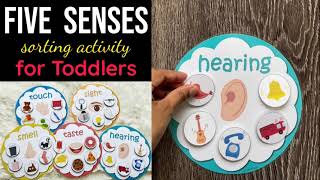 Five Senses Sorting Activity Busy Bags Activity Toddlers and Preschoolers [upl. by Almond89]