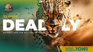 10 most deadly animals who can kill you on the spot [upl. by Ineslta]