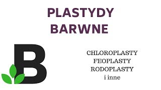 PLASTYDY barwne CHLOROPLASTY CHROMOPLASTY feoplasty rodoplasty  KOREPETYCJE z BIOLOGII  106 [upl. by Hax]