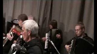 Craven Accordion Orchestra  Lion King [upl. by Namielus]