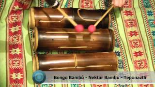 Bongo Bambú  Bamboo Percussion  Percusión  Teponaztli Nektar [upl. by Coppock461]