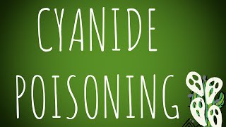 Toxicology Cyanide Poisoning MADE EASY [upl. by Ahsaf]