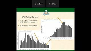 Wild Webcast  Talkin Turkey 20230706 [upl. by Doughman]