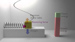 Animation of an Harmonic oscillator mechanics physics [upl. by Borman831]