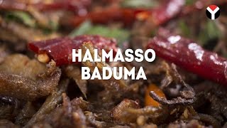 Halmasso Baduma [upl. by Ynots440]