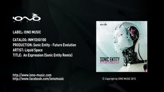 Liquid Space  An Expression Sonic Entity Remix [upl. by Quenby]