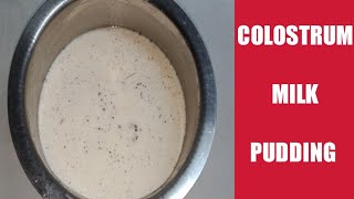 Colostrum milk pudding  homemade colostrum milk pudding [upl. by Premer447]