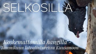 Koskemattomilla hangilla  Tammikuun latvalintureissu Kuusamoon  Selkosilla [upl. by Amelina]