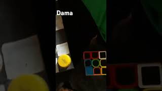 Jogo de dama e cubo [upl. by Waine]