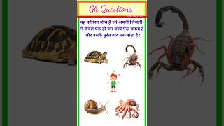 वह कौन सा जीव है जो जीवन में एक बार बच्चा पैदा करता है और उसके बाद मर जाता है🤔 gkquestionshortsgk [upl. by Malcah]